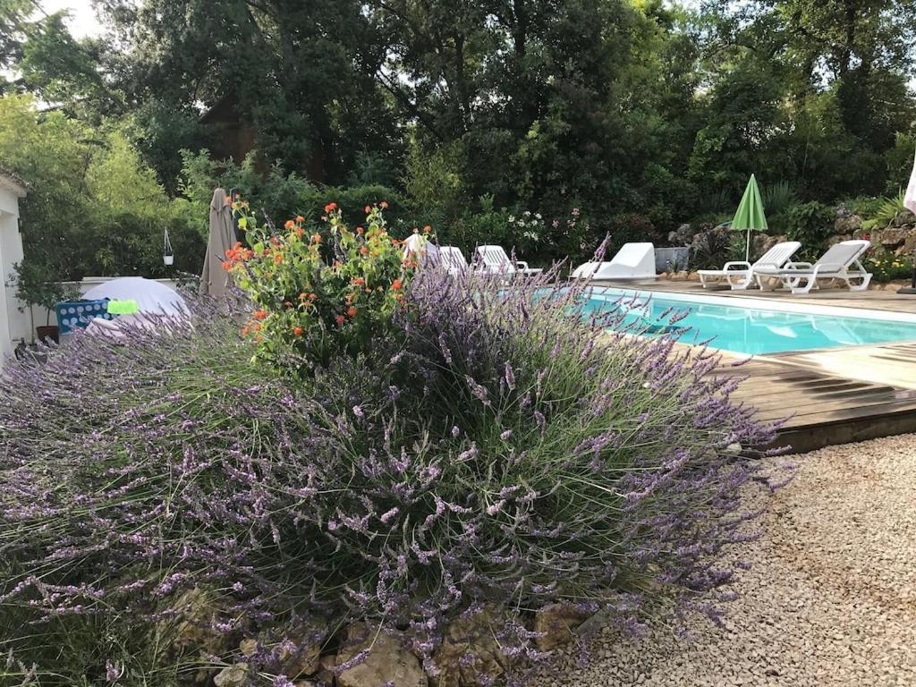 Villa Oha Close Cannes,Nice, Valbonne , Opio Roquefort Les Pins Eksteriør billede